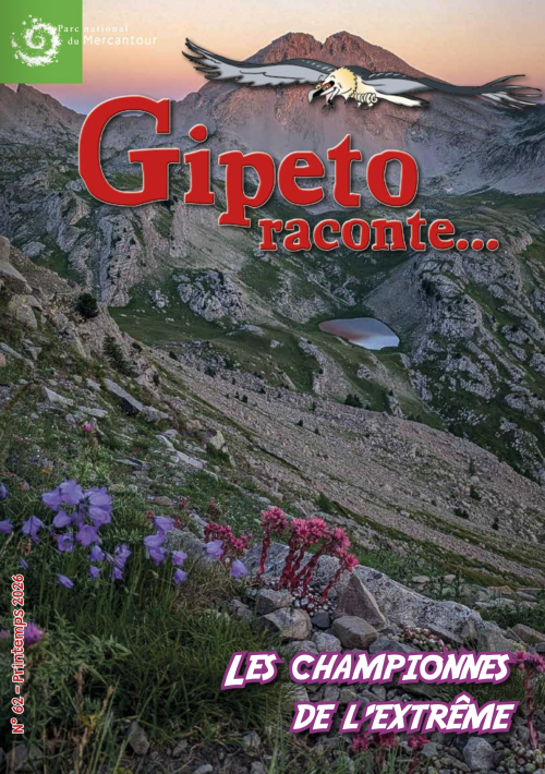 Gipeto raconte n°62