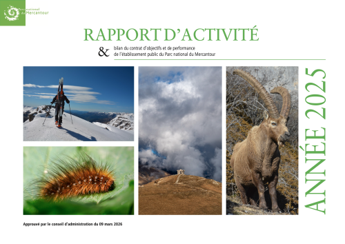 Rapport d'activité 2025