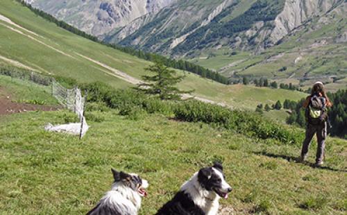 22259_pnm-400px.jpg