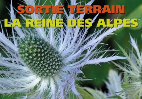 2017-07-13-affiche-anim-estivales-2017-light_page_24-820px.jpg