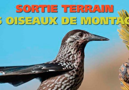 2017-07-13-affiche-anim-estivales-2017-light_page_32-820px.jpg
