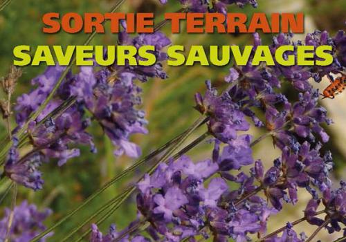 2017-07-13-affiche-anim-estivales-2017-light_page_33-820px.jpg