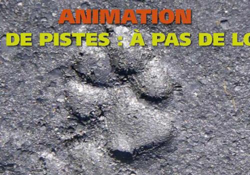2017-07-13-affiche-anim-estivales-2017-light_page_41-820px.jpg