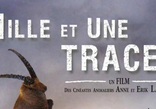 2017-07-13-affiche-anim-estivales-2017-light_page_47-820px.jpg