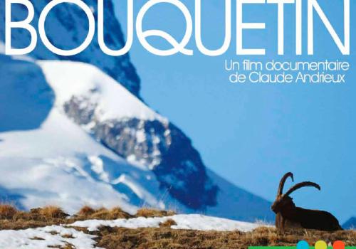 2019-02-11-15_26_36-2019_bouquetin_ratery-820.jpg