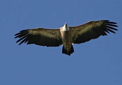 25093_pnm.jpg