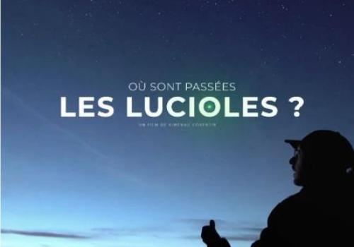 Où sont passées les lucioles ?_Roure