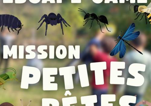 Escape game les petites bêtes._Saint-Étienne-de-Tinée