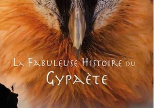 La fabuleuse histoire du Gypaète - La fabuleuse histoire du Gypaète