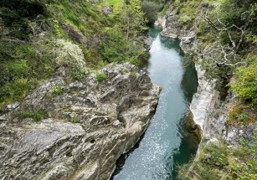 Sur les traces de la loutre : sortie en bord de rivière_Sospel - Rémy Masséglia