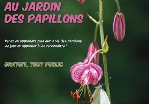 Animation au jardin des papillons_Allos - Animation au jardin des papillons_Allos