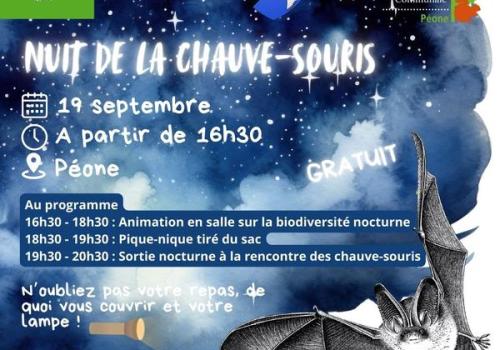 Nuit de la chauve-souris_Péone