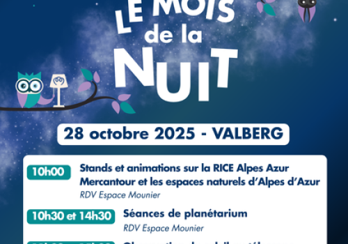Affiche_Mois de la Nuit 2025_Valberg - Affiche_Mois de la Nuit 2025_Valberg