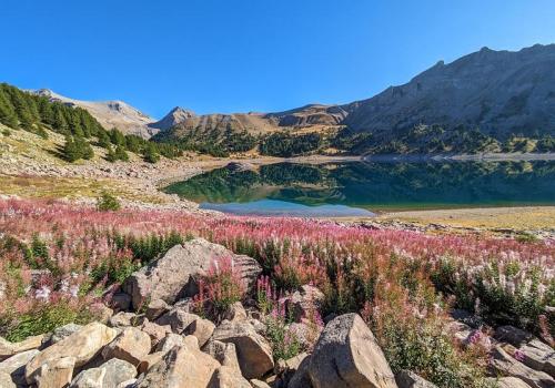 Biodiversité : connaître pour protéger_Allos - Lac d'Allos en été