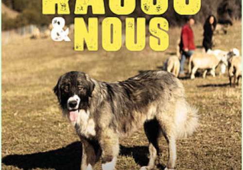 Rasco et nous - Au voisinage des chiens de protection des troupeau_Guillaumes