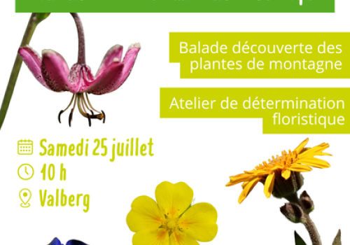 Initiation à la détermination botanique_Valberg