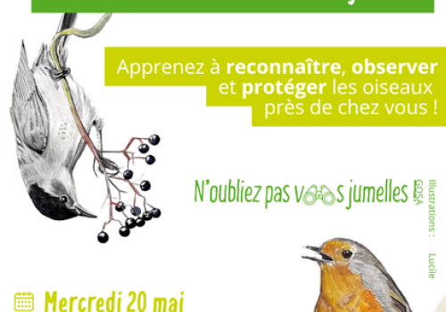 [ABC] Affiche FDN oiseaux communs Péone.png