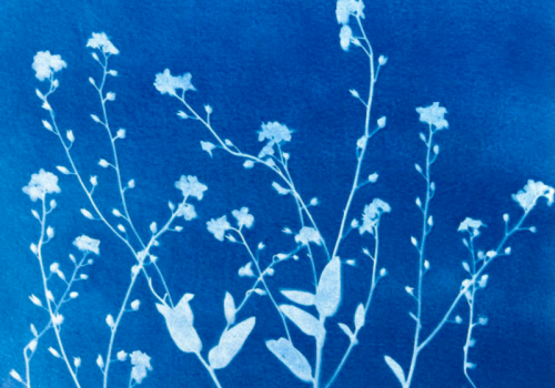 Atelier Cyanotypes_Tende - Atelier_cyanotypes
