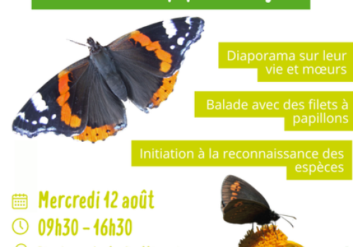 Découverte des papillons_Valdeblore