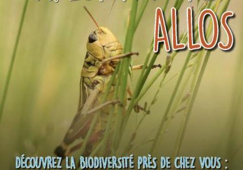 Explor'Nature 2026 à Allos