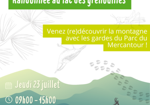 [ABC]Affiche lac des grenouilles.png