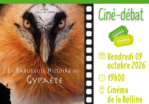 ciné-débat_gypa.png