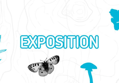 exposition.jpg