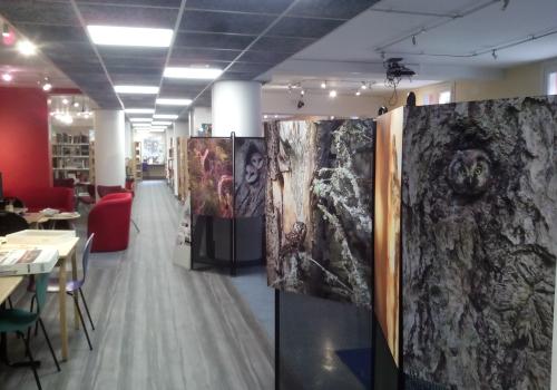 photo_expo_mediatheque_t.jpg