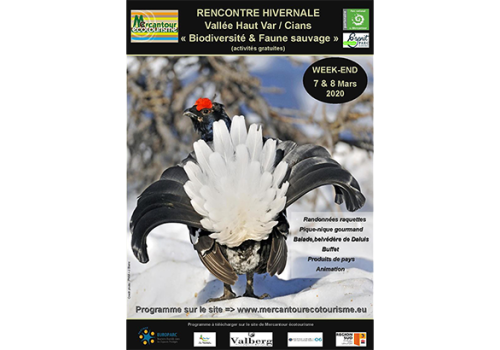 rencontre-hivernale-mercantour.png