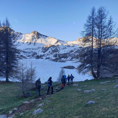 Des lycéens participent à un comptage "tétras lyre" dans le haut Verdon