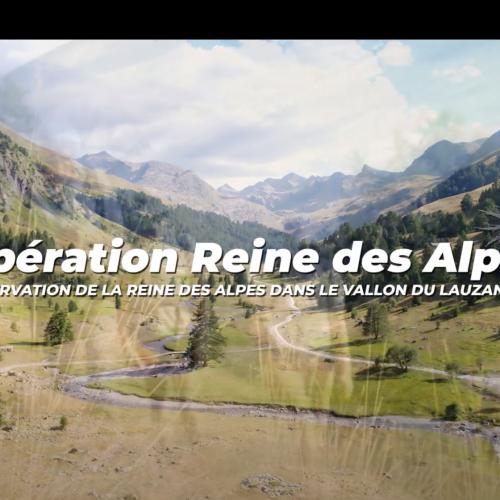 Opération Reine des Alpes (version courte)