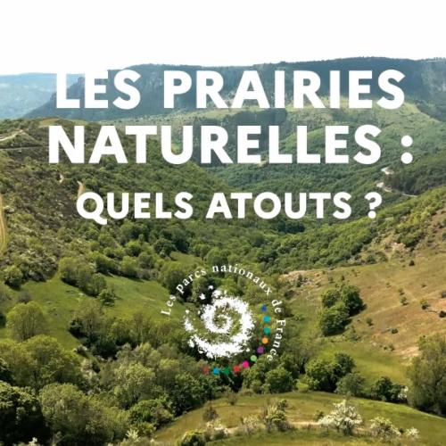 Paroles d'acteurs dans les parcs nationaux : les atouts des prairies naturelles