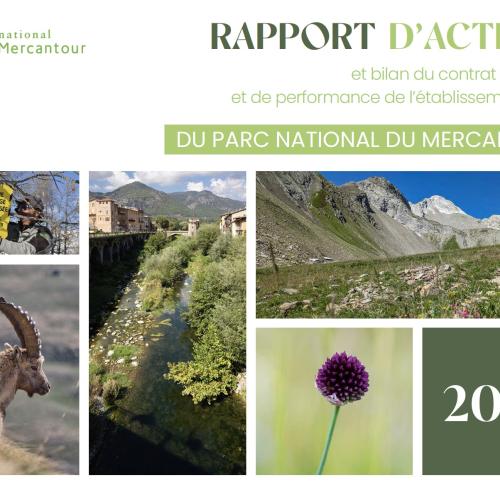 Rapport d'activité 2023