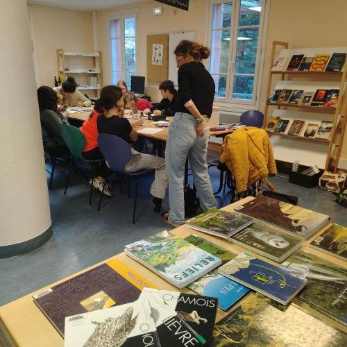 ©Marie-adele-Dugeay