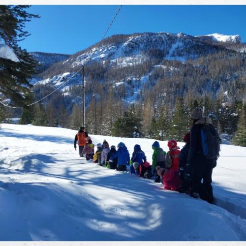 Plongée dans le grand blanc © Fabrice Caillol / PnM, Laurent Zimmermann / PnM