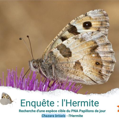 hermite-400px.jpg