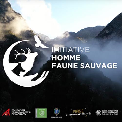 initiative-homme-faune-sauvage.jpg