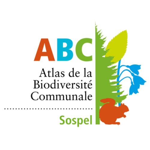 logo-abc-sospel-400px.jpg