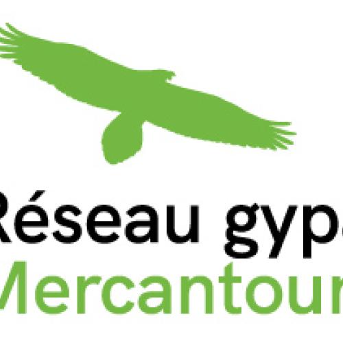 Logo Réseau gypaète Mercantour
