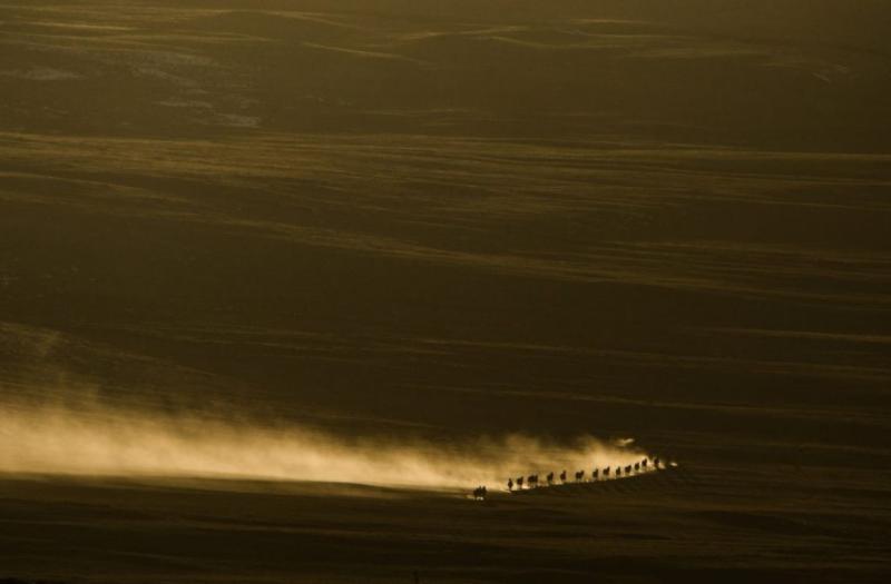 © Vincent Munier