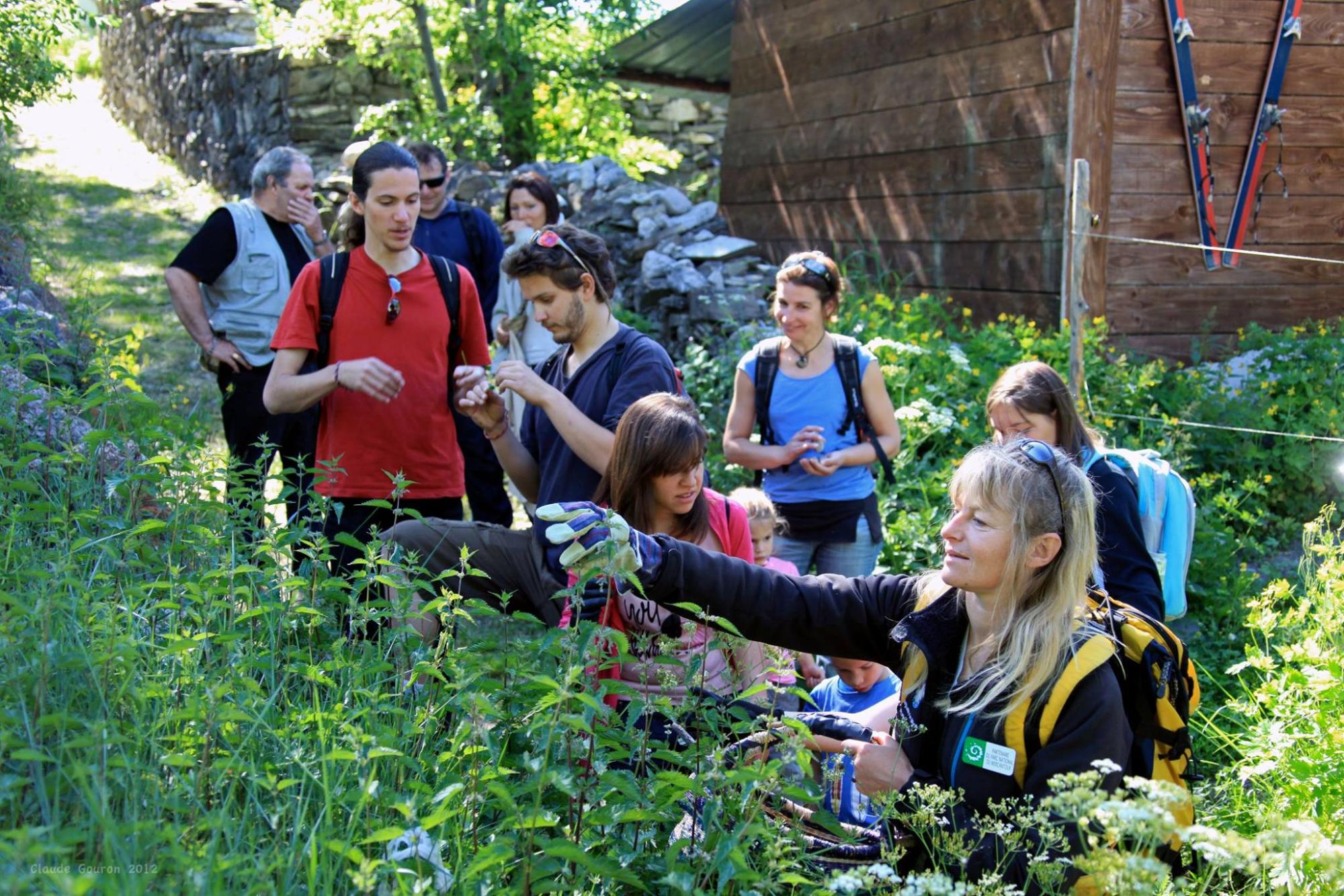 Sortie nature labellisée « Esprit Parc national », proposée par une accompagnatrice en montagne  © C.Gouron