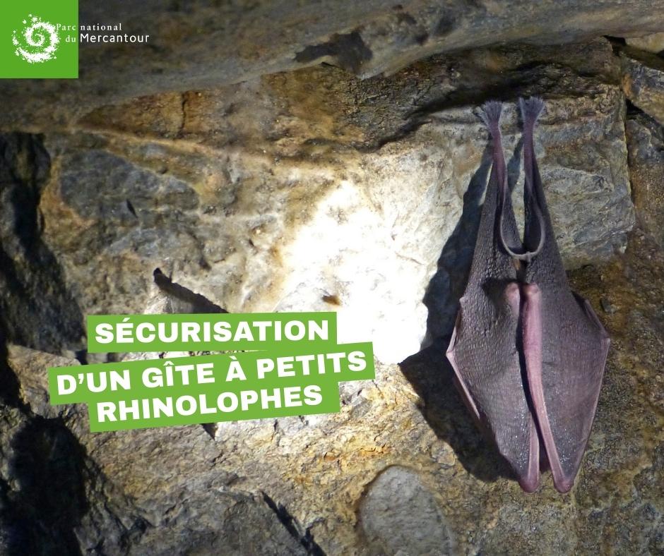 Sécurisation d'un gîte à petits rhinolophes © A.Turpaud / PnM, L.Malthieux / PnM