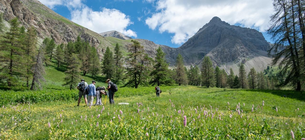 Explor'Nature à Allos © M. Ancely / PnM