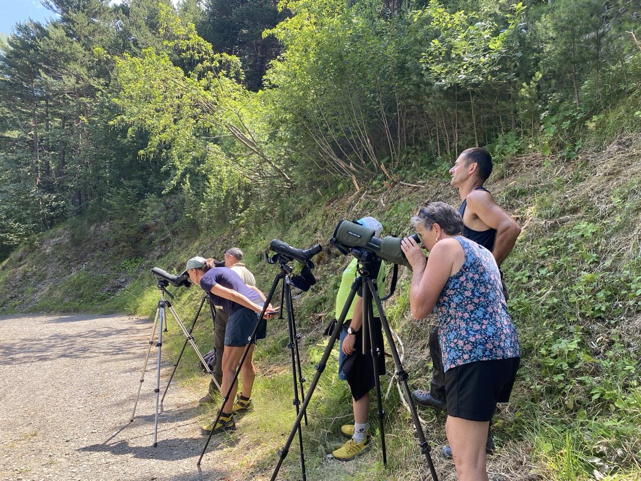 À Tende, une matinée d’observation des aigles royaux avec le Réseau Aigle © : L. Reypin / PnM