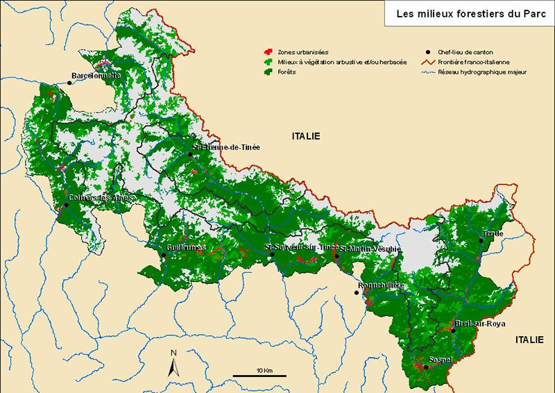 Les milieux forestiers du Parc national du Mercantour