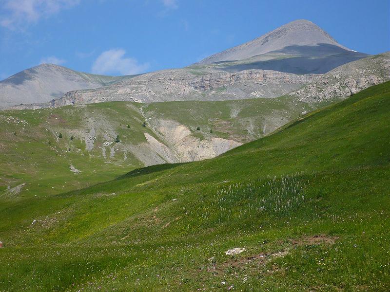 Pelouse alpine devant le mont Mounier en été