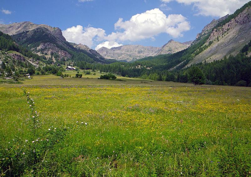 Pré de Fauche de Pra Long, à Estenc (Entraunes)