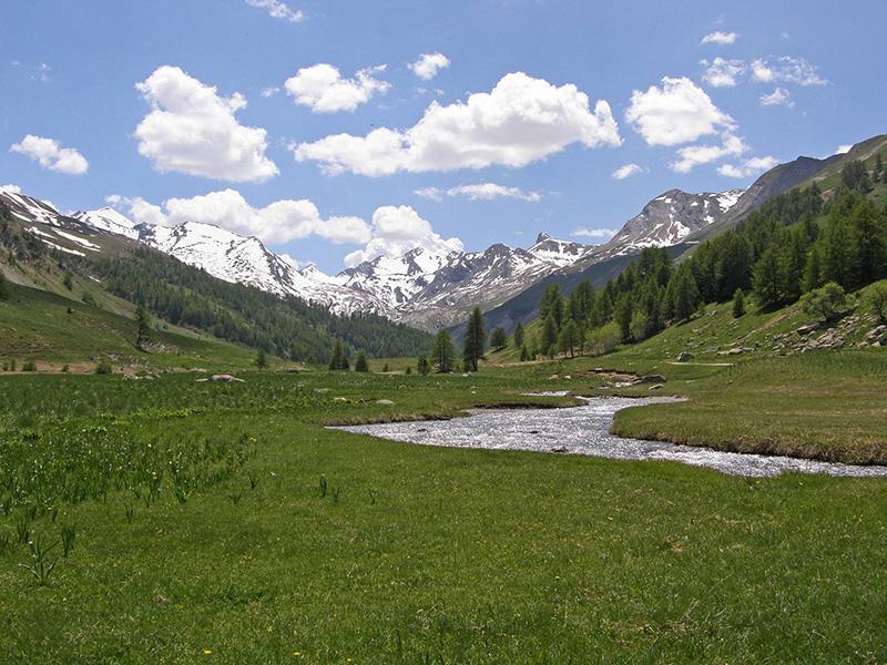 L'Ubayette dans le vallon du Lauzanier