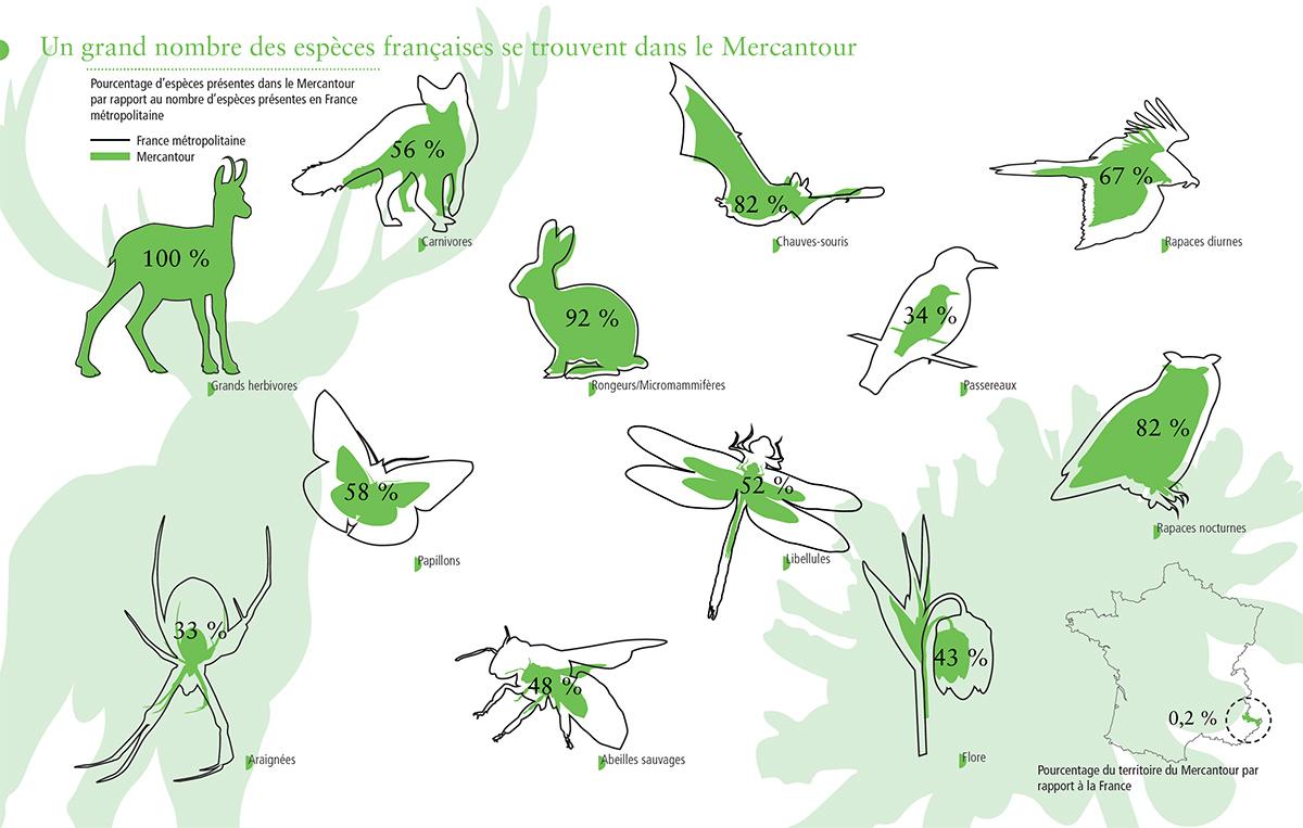 Pourcentage d’espèces présentes dans le Mercantour par rapport au nombre d’espèces présentes en France métropolitaine