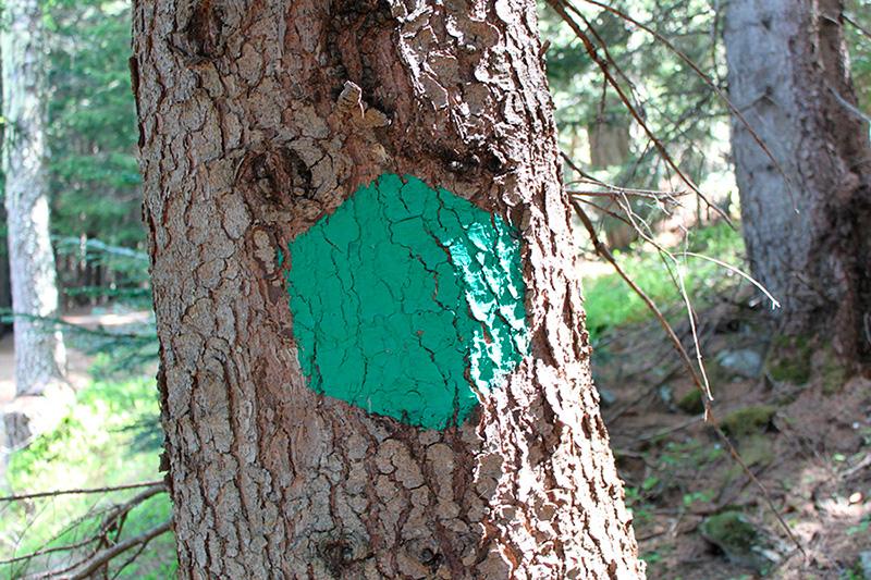 Hexagone vert délimitant la zone coeur sur le terrain